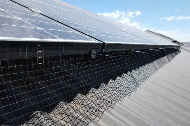 Bird and possum mesh clipped around the edge of a solar panel array